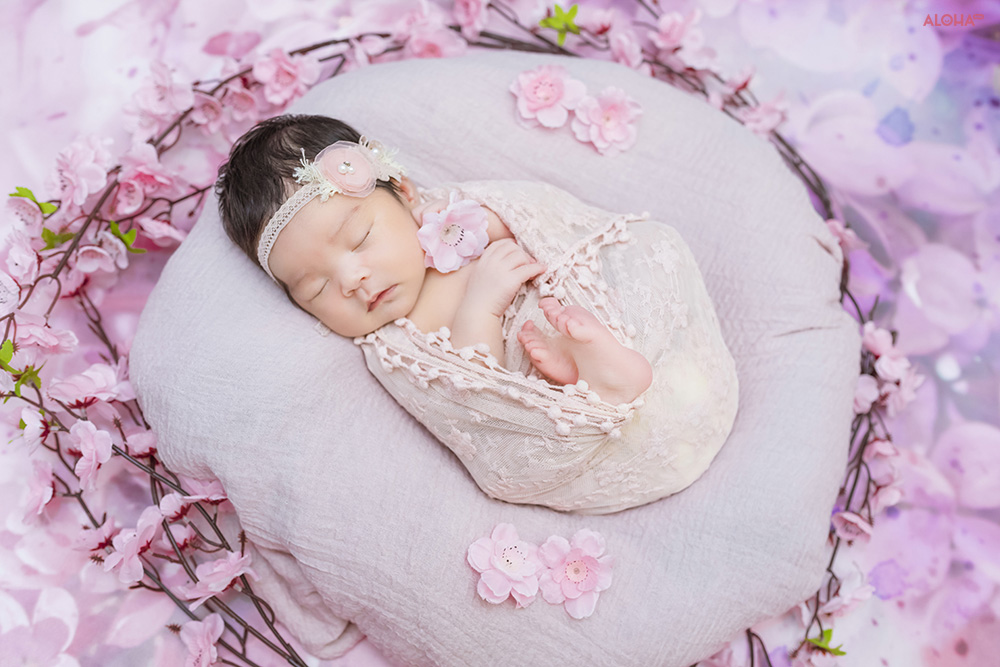 album ảnh newborn 1